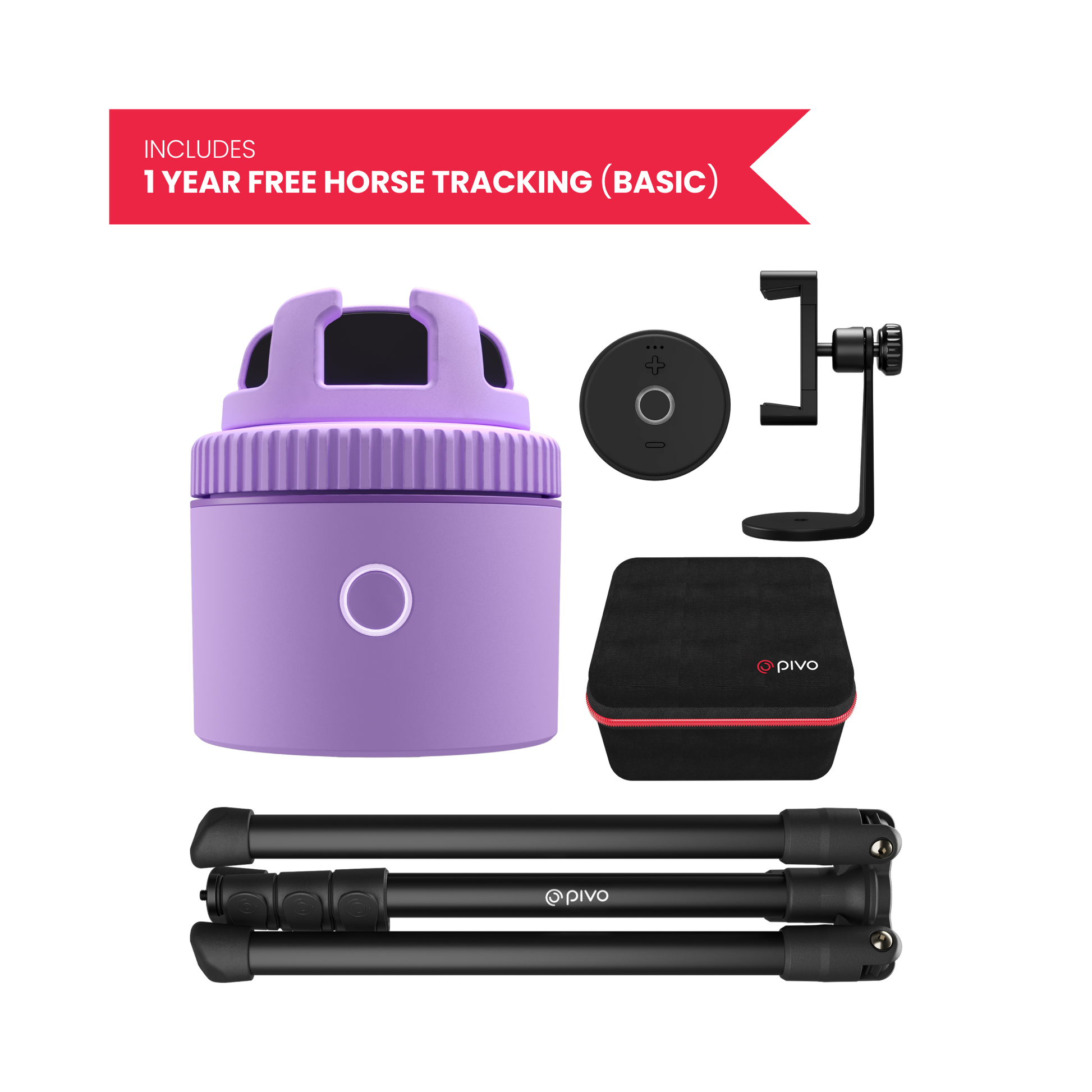 Purple / Equestrian Virtual Lesson Pack